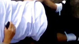 ಕೊಂಬಿನ ಹೊಂಬಣ್ಣದ ಅನಿಕ ...